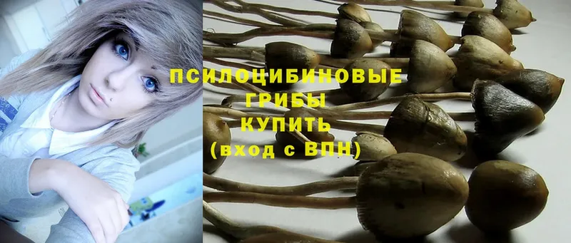 купить наркотики сайты  мега ссылка  Галлюциногенные грибы Magic Shrooms  Ахтубинск 